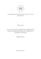 prikaz prve stranice dokumenta Analiza i ocjena kreditne sposobnosti malih i srednjih poduzeća Šibensko - kninske županije